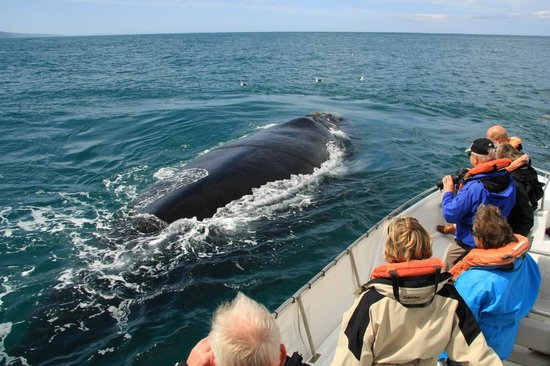 rock the route - ocean-odyssey