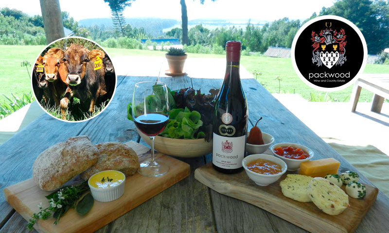 wine_cheese_organic_knysna_things_to_do_tasting